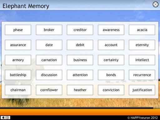 Screenshot: Elephant Memory